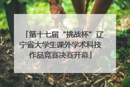 第十七届“挑战杯”辽宁省大学生课外学术科技作品竞赛决赛开幕