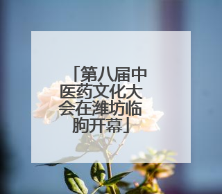 第八届中医药文化大会在潍坊临朐开幕