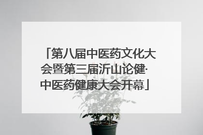 第八届中医药文化大会暨第三届沂山论健·中医药健康大会开幕