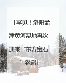 罕见！洛阳孟津黄河湿地再次迎来“东方宝石”彩鹮