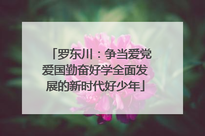 罗东川：争当爱党爱国勤奋好学全面发展的新时代好少年