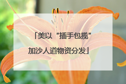 美以“插手包揽”加沙人道物资分发