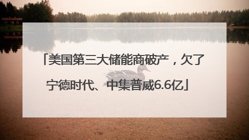 美国第三大储能商破产，欠了宁德时代、中集普威6.6亿