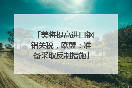 美将提高进口钢铝关税，欧盟：准备采取反制措施