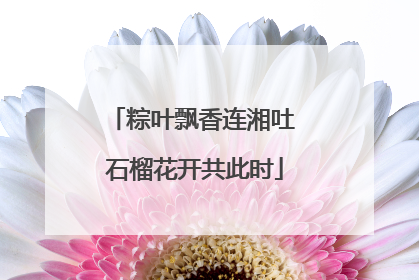 粽叶飘香连湘吐 石榴花开共此时