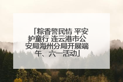 粽香警民情 平安护童行 连云港市公安局海州分局开展端午、六一活动