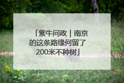 紫牛问政｜南京的这条路缘何留了200米不种树