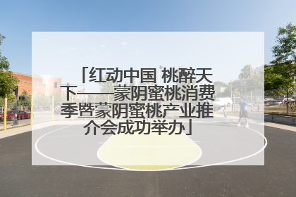 红动中国 桃醉天下——蒙阴蜜桃消费季暨蒙阴蜜桃产业推介会成功举办