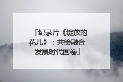 纪录片《绽放的花儿》：共绘融合发展时代画卷