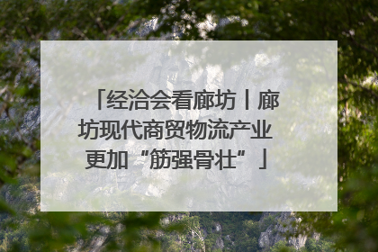 经洽会看廊坊丨廊坊现代商贸物流产业更加“筋强骨壮”