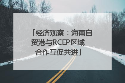 经济观察：海南自贸港与RCEP区域合作互促共进