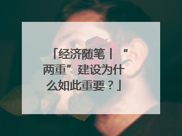 经济随笔丨“两重”建设为什么如此重要？