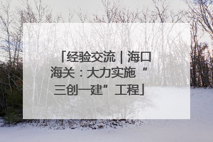 经验交流｜海口海关：大力实施“三创一建”工程