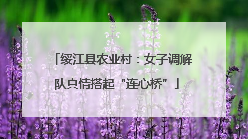 绥江县农业村：女子调解队真情搭起“连心桥”