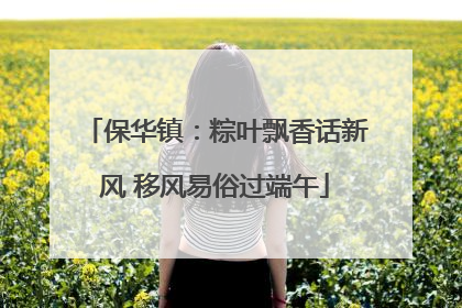 保华镇：粽叶飘香话新风 移风易俗过端午