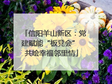 信阳羊山新区：党建赋能“板凳会” 共绘幸福邻里情