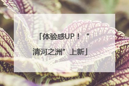 体验感UP！“清河之洲”上新
