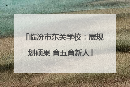 临汾市东关学校：展规划硕果 育五育新人