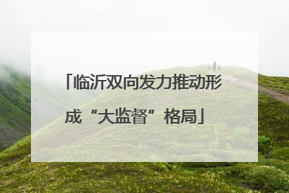临沂双向发力推动形成“大监督”格局