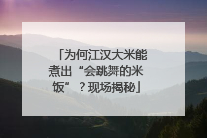 为何江汉大米能煮出“会跳舞的米饭”？现场揭秘