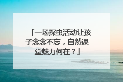 一场探虫活动让孩子念念不忘，自然课堂魅力何在？