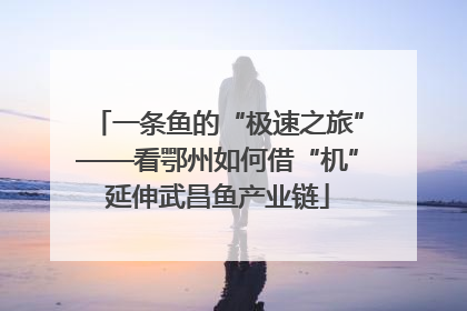 一条鱼的“极速之旅”——看鄂州如何借“机”延伸武昌鱼产业链
