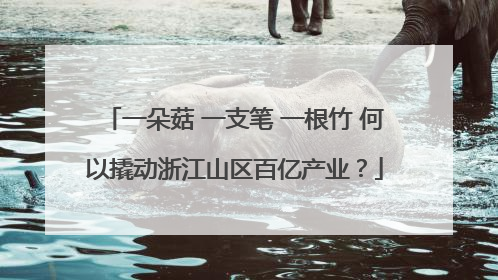 一朵菇 一支笔 一根竹 何以撬动浙江山区百亿产业？