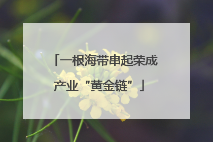 一根海带串起荣成产业“黄金链”