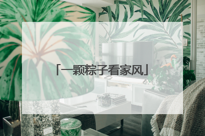一颗粽子看家风