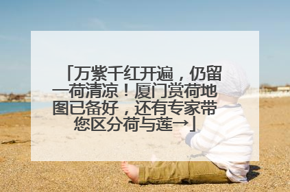 万紫千红开遍，仍留一荷清凉！厦门赏荷地图已备好，还有专家带您区分荷与莲→