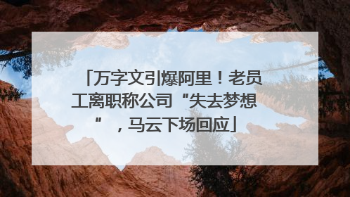 万字文引爆阿里！老员工离职称公司“失去梦想”，马云下场回应