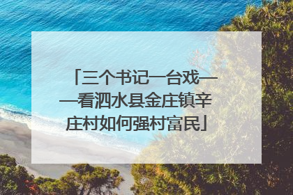 三个书记一台戏——看泗水县金庄镇辛庄村如何强村富民