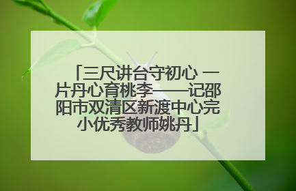 三尺讲台守初心 一片丹心育桃李——记邵阳市双清区新渡中心完小优秀教师姚丹