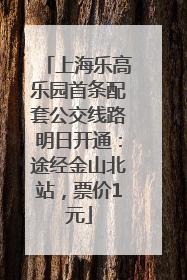 上海乐高乐园首条配套公交线路明日开通：途经金山北站，票价1元