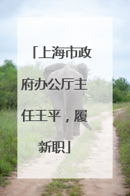 上海市政府办公厅主任王平，履新职