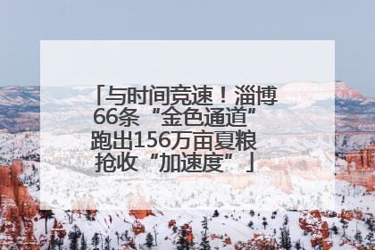 与时间竞速！淄博66条“金色通道”跑出156万亩夏粮抢收“加速度”