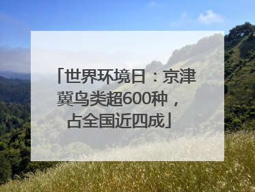 世界环境日：京津冀鸟类超600种，占全国近四成