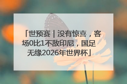 世预赛｜没有惊喜，客场0比1不敌印尼，国足无缘2026年世界杯