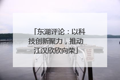 东湖评论：以科技创新聚力，推动江汉欣欣向荣