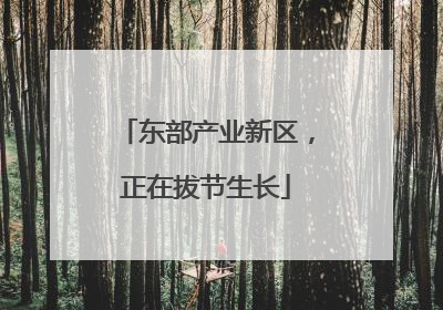 东部产业新区，正在拔节生长