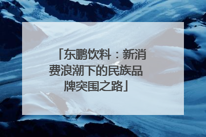 东鹏饮料：新消费浪潮下的民族品牌突围之路