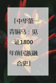 中华第一青铜马：见证1800年前民族融合史