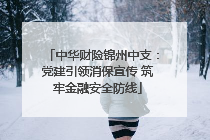 中华财险锦州中支：党建引领消保宣传 筑牢金融安全防线