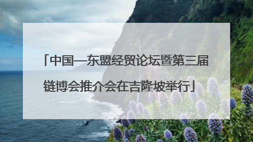 中国—东盟经贸论坛暨第三届链博会推介会在吉隆坡举行