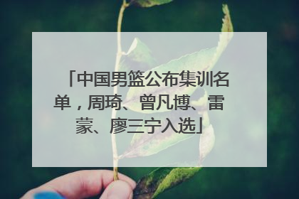 中国男篮公布集训名单，周琦、曾凡博、雷蒙、廖三宁入选