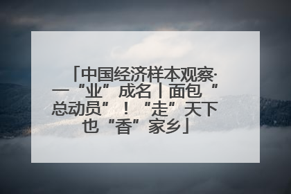 中国经济样本观察·一“业”成名丨面包“总动员”！“走”天下也“香”家乡