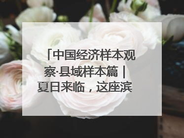 中国经济样本观察·县域样本篇｜夏日来临，这座滨海小城吸引众多年轻人打卡……