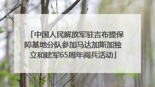 中国人民解放军驻吉布提保障基地分队参加马达加斯加独立和建军65周年阅兵活动