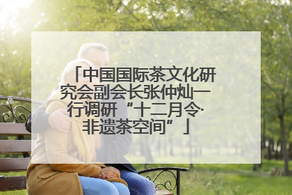 中国国际茶文化研究会副会长张仲灿一行调研“十二月令·非遗茶空间”