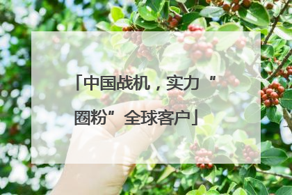 中国战机，实力“圈粉”全球客户